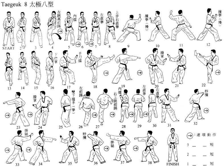 Complete Taekwondo Poomsae Pdf To Excel