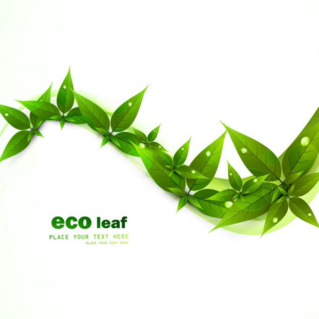 Software Para Camara Web Green Leaf